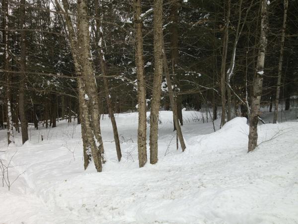  in Johnson VT