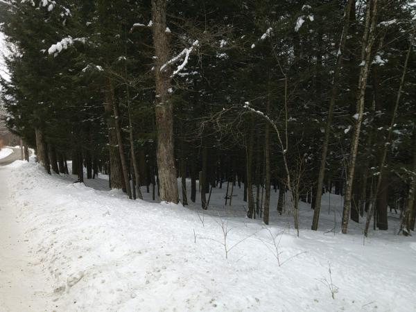  in Johnson VT