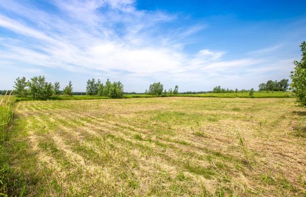 Lot 20 Rocky Shore Farm Road