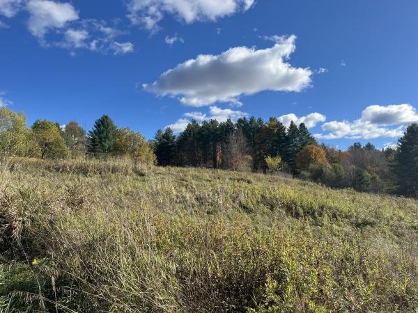 0 Old Farm Road