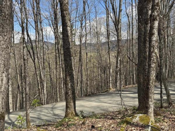 316 Last Road