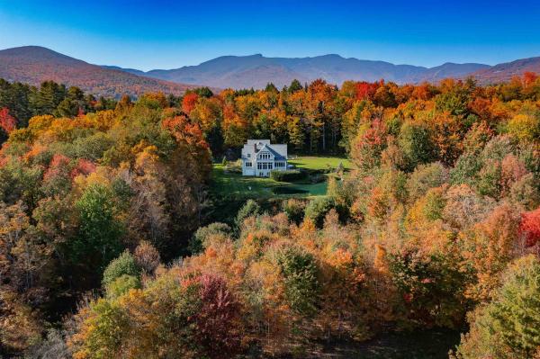 444 Grey Birch Road