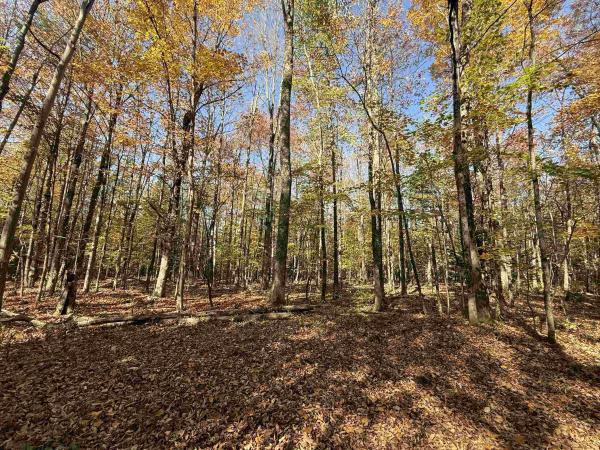 1414 Collins Mill Road