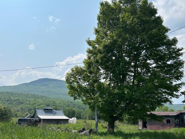 Single Family in Elmore VT