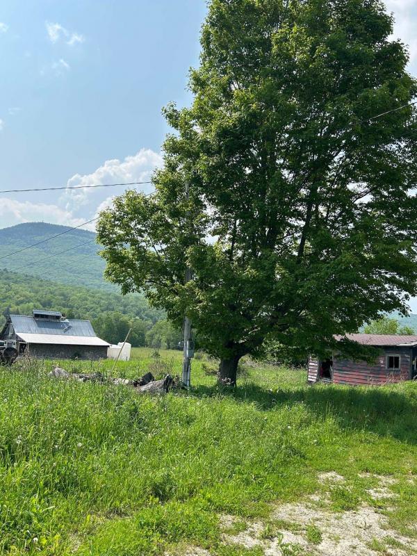 Single Family in Elmore VT