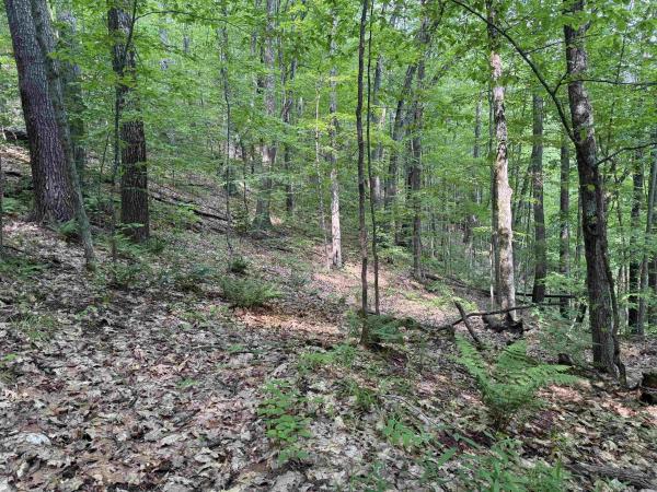 0 Ober Hill Road