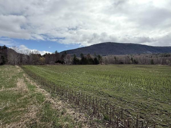 TBD Hewitt Road