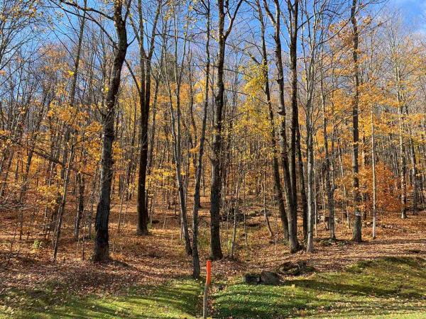 Lot 97 Wade Pasture Road Lot 97 Wade Pasture Road