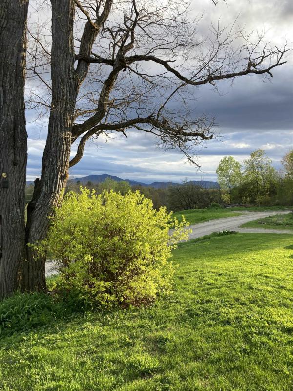 Single Family in Johnson VT