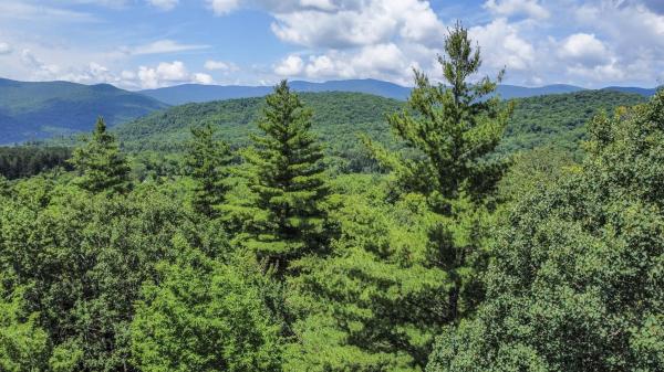 2800 North Hollow Road