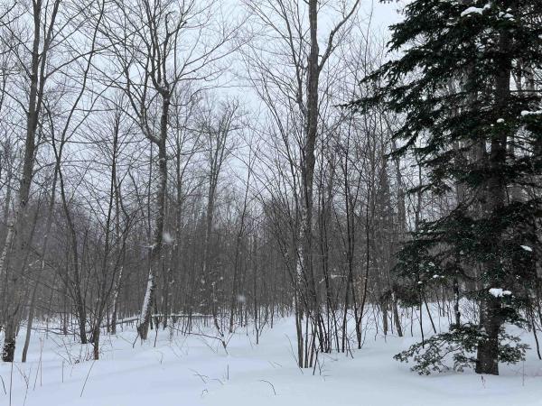 2924 New Duck Pond Road