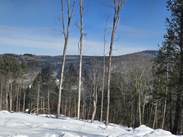 00 VT Rte 12 Lot 1-2 Highway