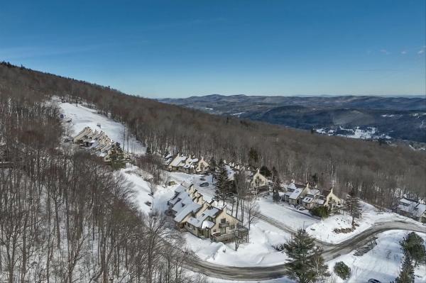 292 Okemo Trailside Extension