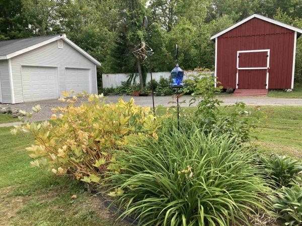 Single Family in Elmore VT