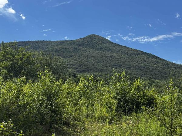 272 Twenty Acre Wood