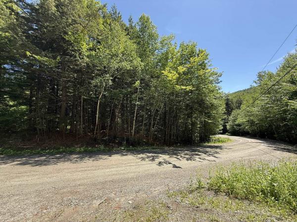 58 Boardman Loop
