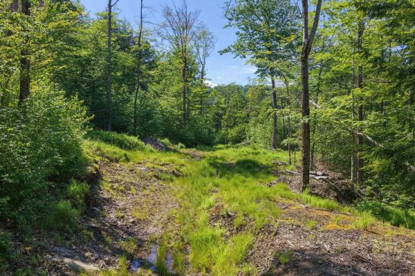 381 Whitaker Farm Road