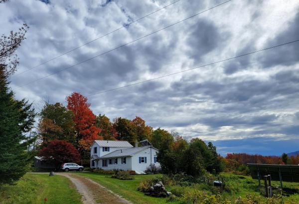 Braintree, VT