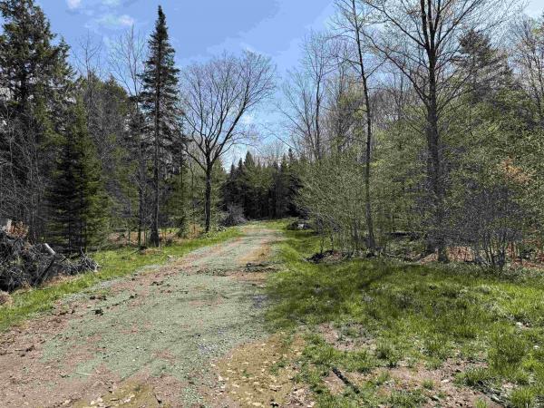 Single Family in Wolcott VT