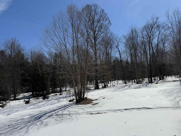 Single Family in Wolcott VT