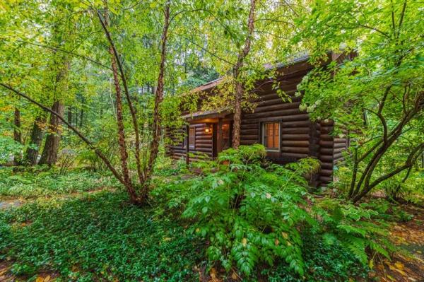 653 Roaring Branch Road