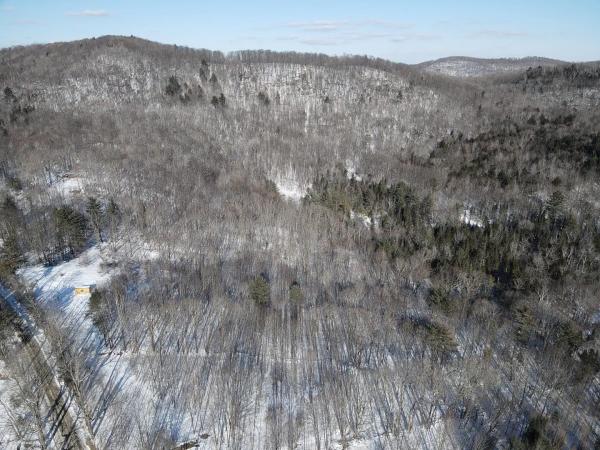 3421 Vershire Center Road