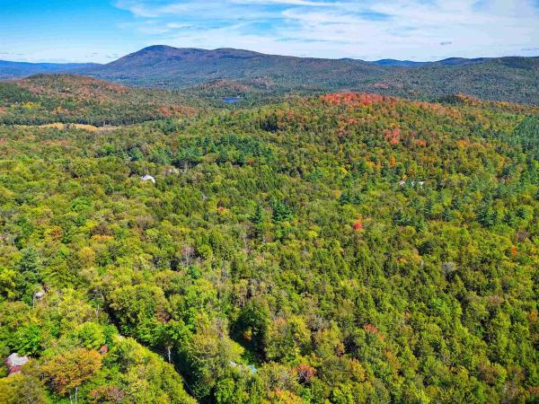 Bourbon Run Road Bourbon Run Road