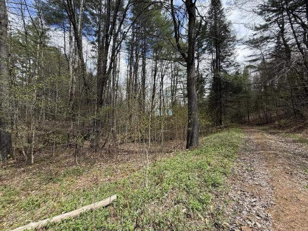 169 Jenkins Brook Road
