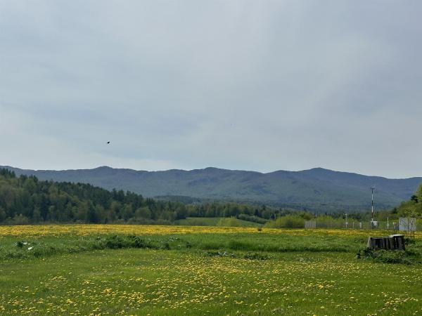 Single Family in Morristown VT