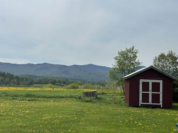 Single Family in Morristown VT
