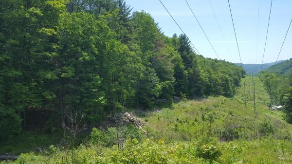 522 Justin Morrill Memorial Highway