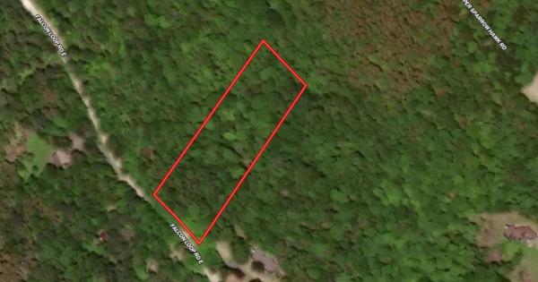 223 Falcon Loop Rd E