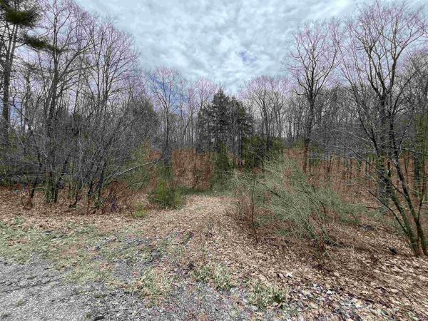 2699 Black Pond Road