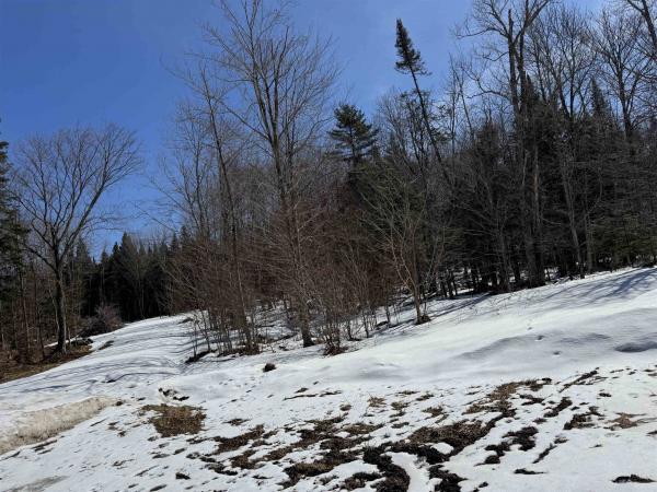  in Wolcott VT