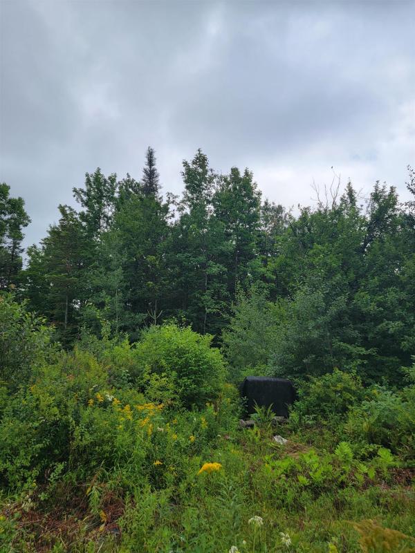 Somerset, VT