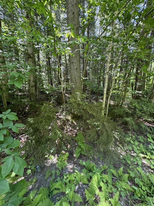 0 Boardman Loop