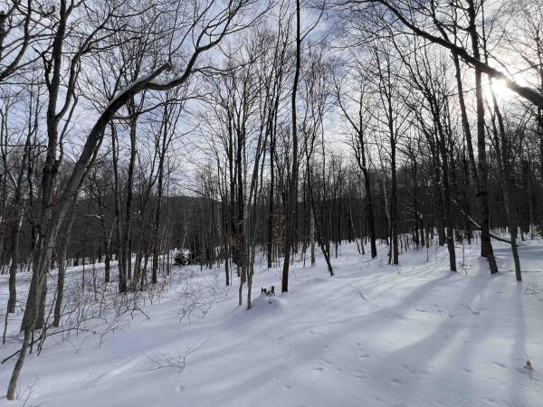 Lot 1 Streeter Road