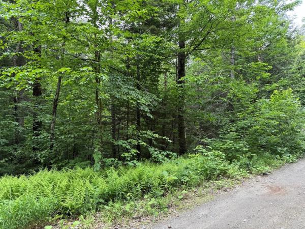 219 Woodbury Mountain Road