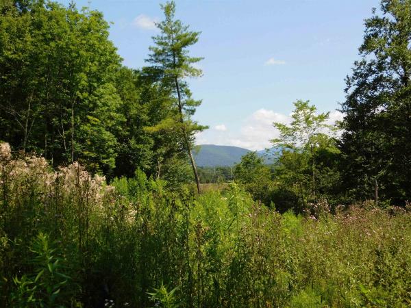 2009 Creek Road