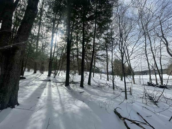 530 Finbars Forest Road