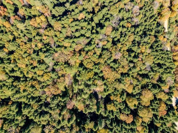 30 Bentley Lane 30 Bentley Lane