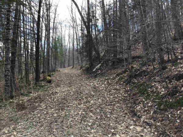 00 Williamstown Road