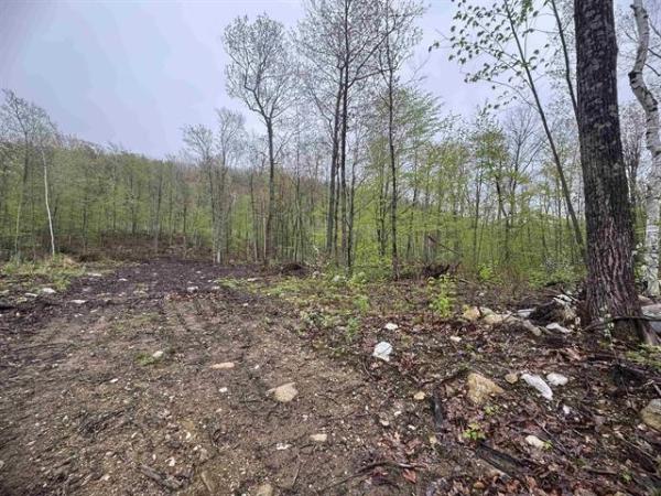 000 Upper Plains Road