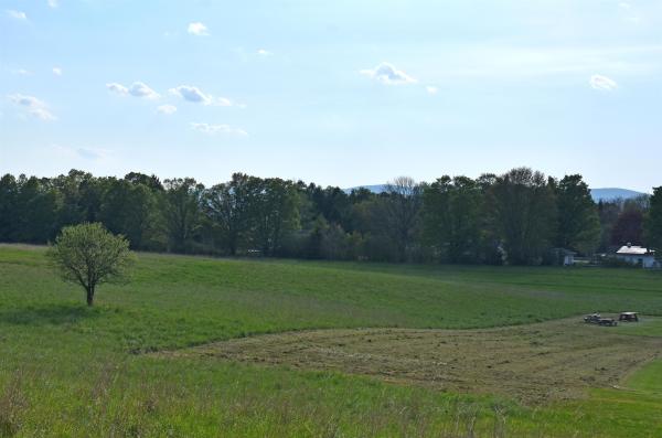 Lot 5 W. Cobble Hill Road