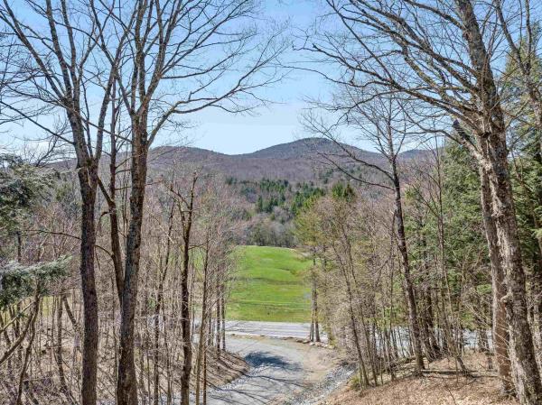 Single Family in Stowe VT
