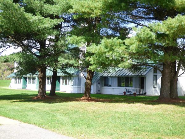 Condo in Stowe VT