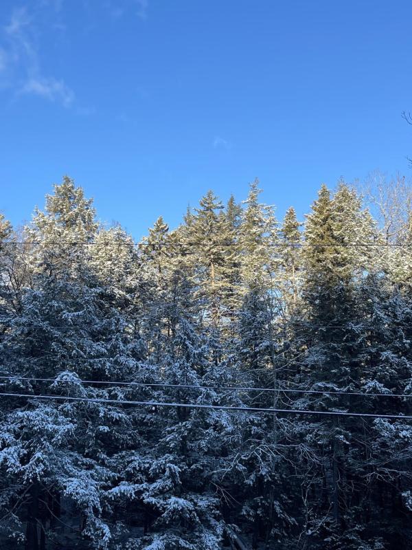 997 Stratton Arlington Road