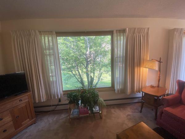 Condo in Morristown VT