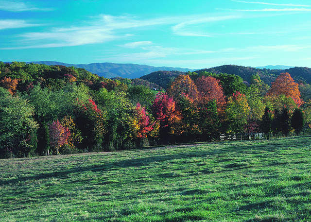 What You Need to Know About Central Vermont Real Estate Before Building a Home